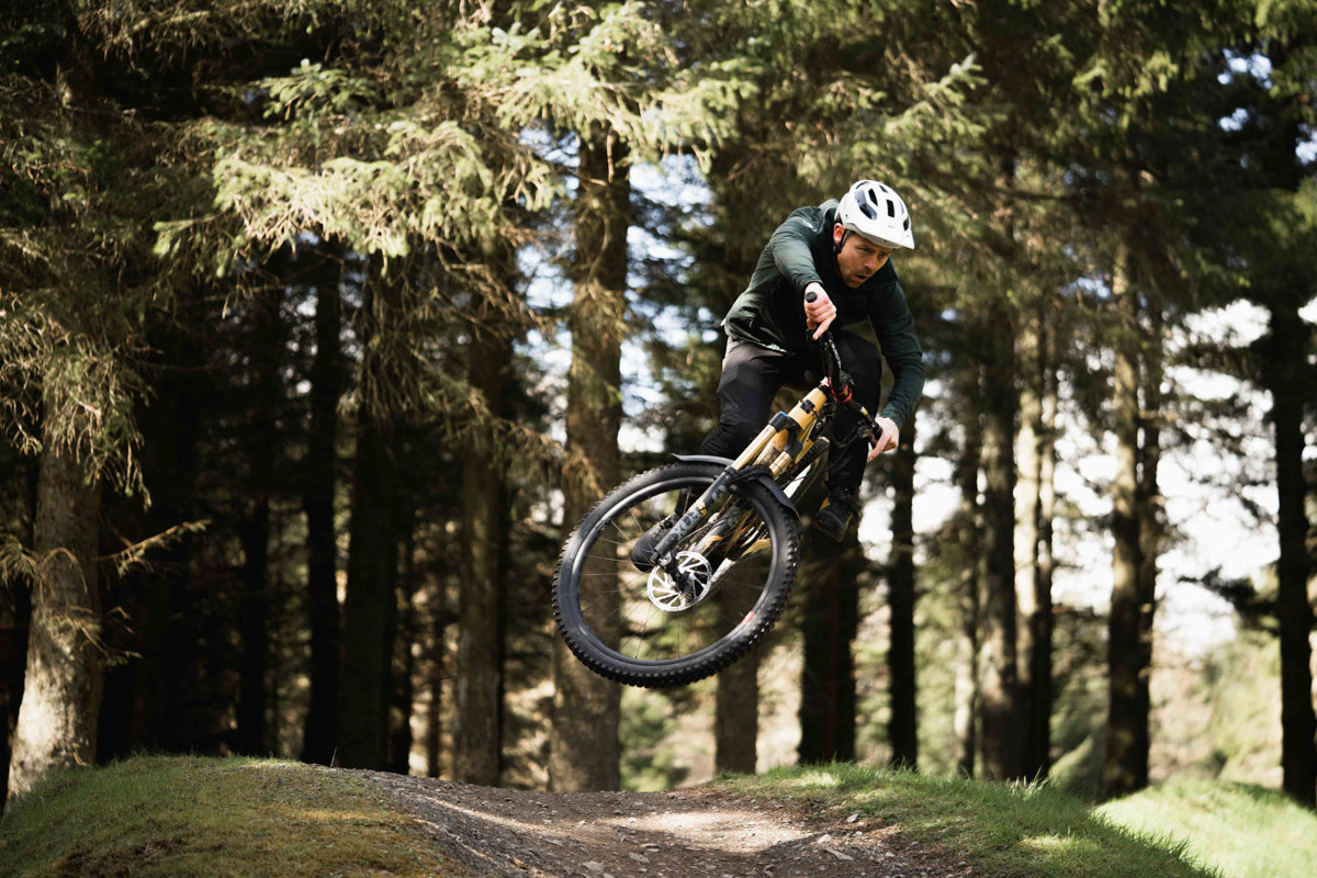 Glentress Freeride Park