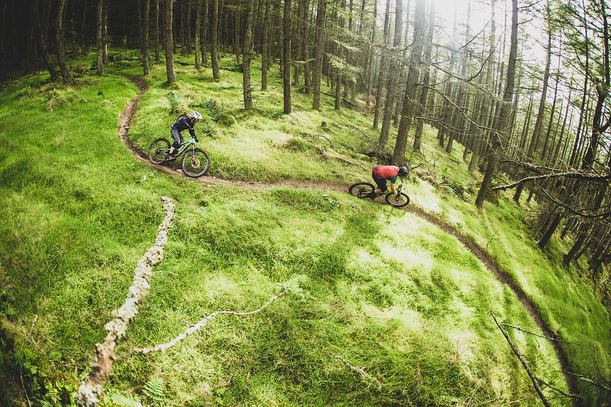 Scotland Mountain Biking Innerleithen