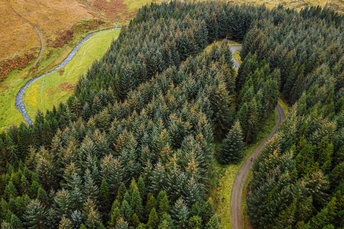 Aerial view of the Tweed Valley as gravel riders flow through the forest below